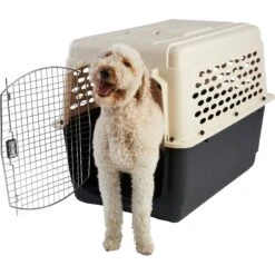 Frisco Plastic Dog & Cat Kennel, Almond & Black