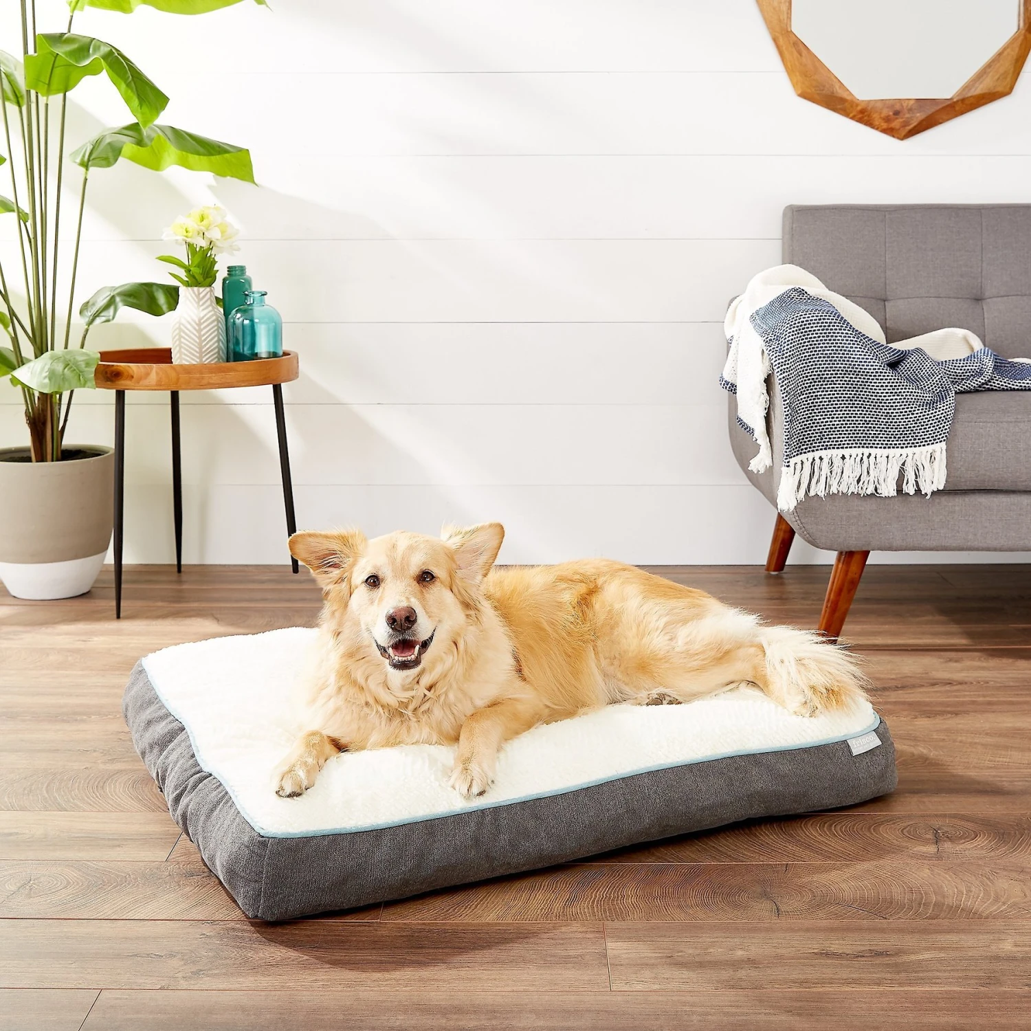 Frisco Plush Pillow Cat & Dog Bed W/ Removable Cover 3 Frisco Plush Pillow Cat & Dog Bed W/ Removable Cover