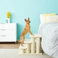 Frisco 18.5 Or 24.5 Inch 2-in-1 Cat & Dog Stairs -Frisco Shop 140154 PT6. AC SS1800 V1584453442