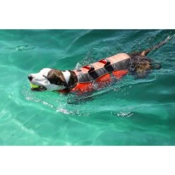 Frisco Ripstop Dog Life Jacket 19 Frisco Ripstop Dog Life Jacket -Frisco Shop 140919 PT8. AC SS1800 V1540476454