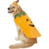 Frisco Pumpkin Dog & Cat Costume 2 Frisco Pumpkin Dog & Cat Costume -Frisco Shop 144446 MAIN. AC SS1800 V1540495184