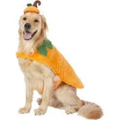 Frisco Pumpkin Dog & Cat Costume 13 Frisco Pumpkin Dog & Cat Costume -Frisco Shop 144446 PT2. AC SS1800 V1567174700