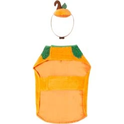 Frisco Pumpkin Dog & Cat Costume 15 Frisco Pumpkin Dog & Cat Costume -Frisco Shop 144446 PT4. AC SS1800 V1567176587