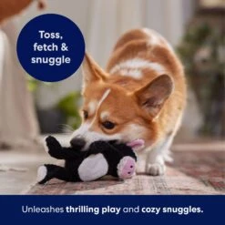 Frisco Cow Textured Plush Squeaky Dog Toy -Frisco Shop 147059 PT5. AC SS1800 V1691776636