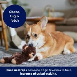 Frisco Bear Plush With Inside Rope Squeaky Dog Toy 12 Frisco Bear Plush With Inside Rope Squeaky Dog Toy -Frisco Shop 147061 PT4. AC SS1800 V1695659155