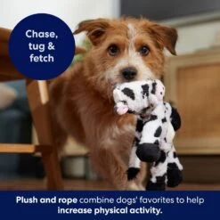 Frisco Cow Plush With Inside Rope Squeaky Dog Toy -Frisco Shop 147063 PT5. AC SS1800 V1691776574