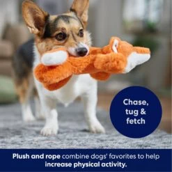 Frisco Fox Plush With Inside Rope Squeaky Dog Toy 12 Frisco Fox Plush With Inside Rope Squeaky Dog Toy -Frisco Shop 147065 PT4. AC SS1800 V1695671059