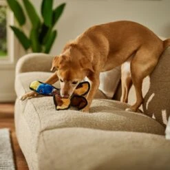 Frisco Duck Flat Plush Squeaky Dog Toy 8 Frisco Duck Flat Plush Squeaky Dog Toy -Frisco Shop 147069 PT3. AC SS1800 V1674158058