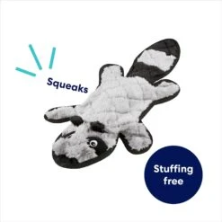 Frisco Raccoon Stuffing-Free Flat Plush Squeaky Dog Toy -Frisco Shop 147071 PT2. AC SS1800 V1692826085