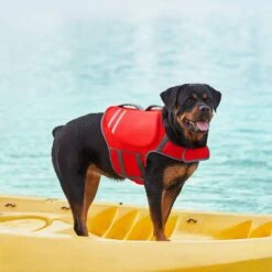 Frisco Neoprene Dog Life Jacket 18 Frisco Neoprene Dog Life Jacket -Frisco Shop 152465 PT7. AC SS1800 V1631058734