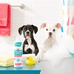 Frisco Hypoallergenic Puppy & Kitten Shampoo, Unscented 8 Frisco Hypoallergenic Puppy & Kitten Shampoo, Unscented -Frisco Shop 152571 PT2. AC SS1800 V1551302781