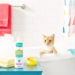 Frisco Oatmeal Dog & Cat Shampoo, Almond Scent 10 Frisco Oatmeal Dog & Cat Shampoo, Almond Scent -Frisco Shop 152573 PT3. AC SS1800 V1551302890