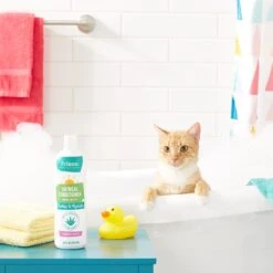Frisco Oatmeal Conditioner With Aloe For Dogs & Cats, Almond Scent 9 Frisco Oatmeal Conditioner With Aloe For Dogs & Cats, Almond Scent -Frisco Shop 152579 PT3. AC SS1800 V1551302925