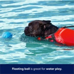 Frisco Foam Rubber Floating Fetch Ball No Squeak Dog Toy 11 Frisco Foam Rubber Floating Fetch Ball No Squeak Dog Toy -Frisco Shop 152798 PT3. AC SS1800 V1686579688