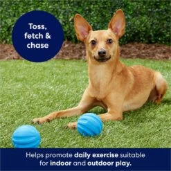 Frisco Foam Rubber Floating Fetch Ball No Squeak Dog Toy 12 Frisco Foam Rubber Floating Fetch Ball No Squeak Dog Toy -Frisco Shop 152798 PT4. AC SS1800 V1686579140