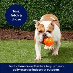 Frisco Fetch Squeaky TPR Ball Dog Toy 12 Frisco Fetch Squeaky TPR Ball Dog Toy -Frisco Shop 152801 PT4. AC SS1800 V1686580091
