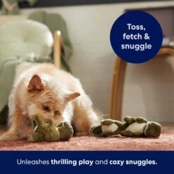 Frisco Volcano Hide & Seek Puzzle Plush Squeaky Dog Toy Refills, 3 Count 10 Frisco Volcano Hide & Seek Puzzle Plush Squeaky Dog Toy Refills, 3 Count -Frisco Shop 152814 PT5. AC SS1800 V1691776693