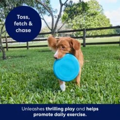 Frisco Fetch Rubber Flyer Dog Toy -Frisco Shop 152848 PT5. AC SS1800 V1692370079