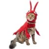 Frisco Red Lobster Dog & Cat Costume 1 Frisco Red Lobster Dog & Cat Costume -Frisco Shop 158723 MAIN. AC SS1800 V1659023206