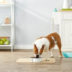 Frisco Stainless Steel Dog & Cat Bowl 8 Frisco Stainless Steel Dog & Cat Bowl -Frisco Shop 159867 PT3. AC SS1800 V1570543097