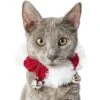Frisco Jingle Bells Dog & Cat Holiday Collar With Bells, 1 Count -Frisco Shop 160063 MAIN. AC SS1800 V1663948848