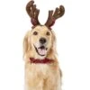 Frisco Holiday Antler Headband & Bell Collar Dog & Cat Costume 2 Frisco Holiday Antler Headband & Bell Collar Dog & Cat Costume -Frisco Shop 160658 Main. AC SS1800 V1568818034