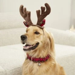 Frisco Holiday Antler Headband & Bell Collar Dog & Cat Costume 10 Frisco Holiday Antler Headband & Bell Collar Dog & Cat Costume -Frisco Shop 160658 PT4. AC SS1800 V1568818037