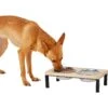 Frisco Wood Elevated Stainless Steel Double Diner Dog & Cat Bowl -Frisco Shop 161144 MAIN. AC SS1800 V1578432855