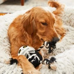 Frisco Halloween Skeleton Plush With Rope Squeaky Dog Toy 9 Frisco Halloween Skeleton Plush With Rope Squeaky Dog Toy -Frisco Shop 161358 PT6. AC SS1800 V1597599370