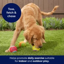 Frisco Birthday Fetch Squeaky Tennis Ball Dog Toy 12 Frisco Birthday Fetch Squeaky Tennis Ball Dog Toy -Frisco Shop 162914 PT5. AC SS1800 V1692020098
