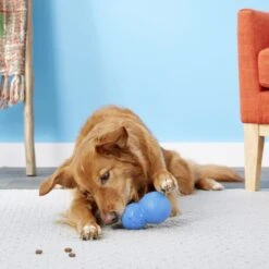 Frisco Snowman Rubber Treat Dispenser Dog Toy -Frisco Shop 164769 PT4. AC SS1800 V1563808954