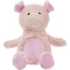 Frisco Pig Textured Plush Squeaky Dog Toy 1 Frisco Pig Textured Plush Squeaky Dog Toy -Frisco Shop 174695 Main. AC SS1800 V1572616376