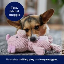 Frisco Pig Textured Plush Squeaky Dog Toy -Frisco Shop 174695 PT4. AC SS1800 V1695670689