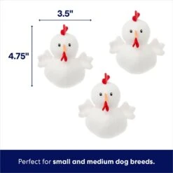 Frisco Chicken Coop Hide & Seek Puzzle Plush Squeaky Dog Toy -Frisco Shop 174755 PT2. AC SS1800 V1691783968