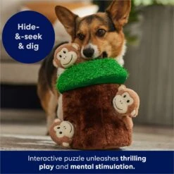 Frisco Monkeys In Tree Hide & Seek Puzzle Plush Squeaky Dog Toy -Frisco Shop 174759 PT5. AC SS1800 V1702598595