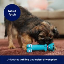 Frisco Latex Squeaky Puppy Toy 12 Frisco Latex Squeaky Puppy Toy -Frisco Shop 174775 PT5. AC SS1800 V1691784247