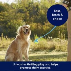 Frisco Ball Launcher & Fetch Squeaky Tennis Ball Dog Toy -Frisco Shop 178477 PT3. AC SS1800 V1695241970