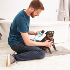 Frisco Aloe Hydrating Dog & Cat Spray, Sweet Nectar Scent 8 Frisco Aloe Hydrating Dog & Cat Spray, Sweet Nectar Scent -Frisco Shop 192084 PT3. AC SS1800 V1585321073