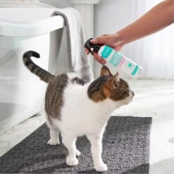 Frisco Aloe Hydrating Dog & Cat Spray, Sweet Nectar Scent 9 Frisco Aloe Hydrating Dog & Cat Spray, Sweet Nectar Scent -Frisco Shop 192084 PT4. AC SS1800 V1589487682