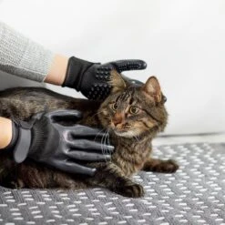 Frisco Dog & Cat Deshedding & Grooming Gloves, Black 15 Frisco Dog & Cat Deshedding & Grooming Gloves, Black -Frisco Shop 206843 PT6. AC SS1800 V1610768364