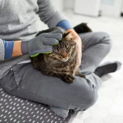 Frisco Dog & Cat Grooming Glove, Right Hand 15 Frisco Dog & Cat Grooming Glove, Right Hand -Frisco Shop 206845 PT6. AC SS1800 V1610762805