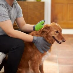 Frisco Dog & Cat Adjustable Grooming Gloves 14 Frisco Dog & Cat Adjustable Grooming Gloves -Frisco Shop 206847 PT5. AC SS1800 V1610763673