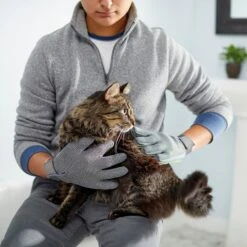 Frisco Dog & Cat Adjustable Grooming Gloves 15 Frisco Dog & Cat Adjustable Grooming Gloves -Frisco Shop 206847 PT6. AC SS1800 V1610768190