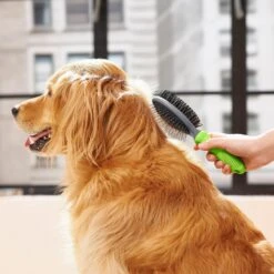 Frisco Cat & Dog Pin Bristle Brush -Frisco Shop 206855 PT6. AC SS1800 V1680186157