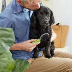 Frisco Cat & Dog Combo Brush, Mini 9 Frisco Cat & Dog Combo Brush, Mini -Frisco Shop 206857 PT4. AC SS1800 V1680186386