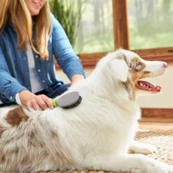 Frisco Cat & Dog Bristle Brush -Frisco Shop 206859 PT5. AC SS1800 V1680186099