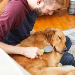 Frisco Cat & Dog Pin Brush -Frisco Shop 206861 PT6. AC SS1800 V1680186099