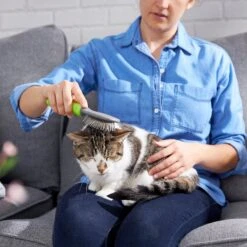 Frisco Cat & Dog Pin Brush -Frisco Shop 206861 PT7. AC SS1800 V1680186386