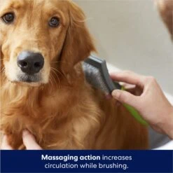 Frisco Self-Cleaning Slicker Dog Brush 12 Frisco Self-Cleaning Slicker Dog Brush -Frisco Shop 206863 PT5. AC SS1800 V1680186156