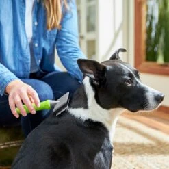 Frisco Soft Slicker Dog Brush, One Size 8 Frisco Soft Slicker Dog Brush, One Size -Frisco Shop 206869 PT4. AC SS1800 V1680186388